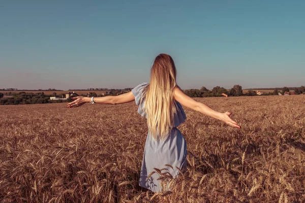 En kvinna sprider sina armar till sidan på sommaren i ett vetefält. Blå klänning och långt hår. Njut av friluftsliv på en ljus och solig dag. Livsstil på landsbygden i helgen. — Stockfoto