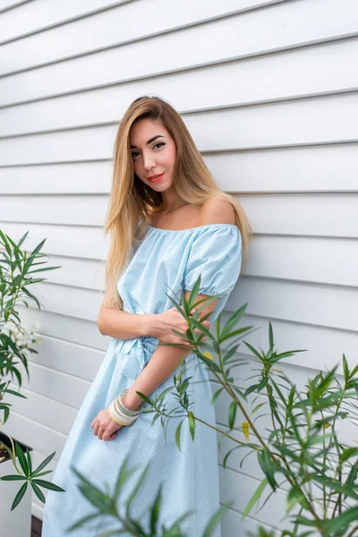 Mooie vrouw in een blauwe jurk, meisje zomer. Lange haren dagelijks make-up. Gelukkig glimlachend. Poseren tegen de achtergrond van een houten muur en groene planten. — Stockfoto