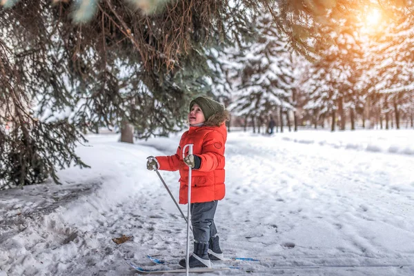 Anak laki-laki berusia 3 tahun, musim dingin kota latar belakang firs hijau salju, naik anak-anak ski. Konsep langkah pertama, belajar olahraga, gaya hidup aktif sejak kecil. Emosi kejutan baru, spontanitas . — Stok Foto