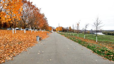 parkta sonbahar, ağaçlardan altın yaprakları arka plan, Ekim Eylül ayında, dinlenme ve parkta yürümek. Arka plan orman ağaçları yol. Şehirde sakinlik ve sessizlik kavramı.