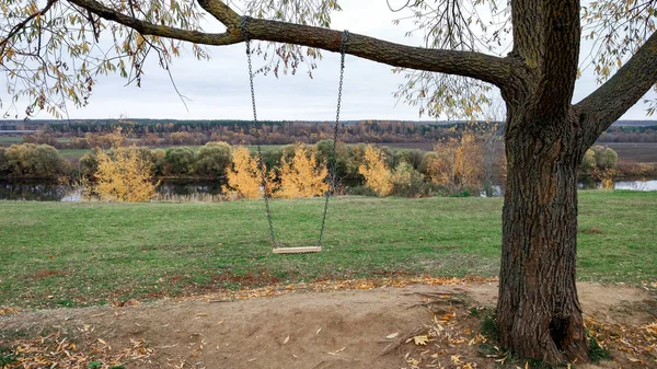 Tree, swing on a tree, summer in park, autumn in October September. On a chain seat for skiing.