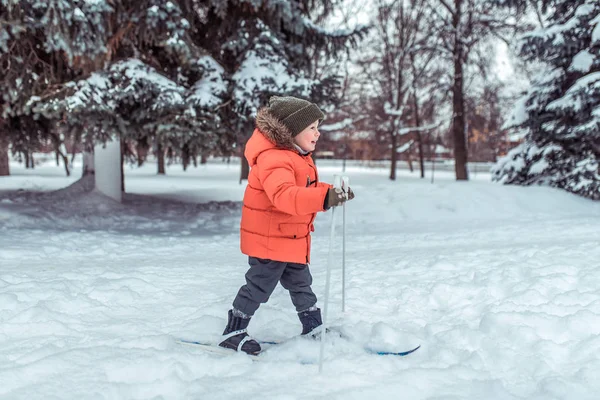 Niño de 3-5 años, en invierno en niños monta nieve de ventisqueros de bosque verde y árboles de Navidad. Felices primeros pasos en el deporte. Concepto divertido de fin de semana para la infancia y la relajación . — Foto de Stock