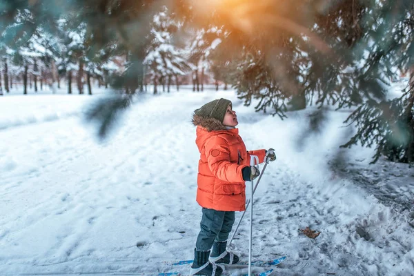 一个3-5岁的小男孩，站在孩子们的冬天滑雪，看着绿树，看着惊喜和快乐的雪，雪飘，幸福是一个孩子的游戏. — 图库照片