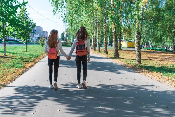 Adolescentes en suéteres, vista trasera, caminar con mochilas detrás, verano en otoño y primavera en la ciudad, fin de semana después de la escuela. Árboles de fondo hierba, parque . — Foto de Stock