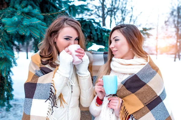 Two girls girlfriends in winter on street, warm themselves in warm plaid, drink hot drinks, coffee tea, happy talk and relax on winter holidays, background snow trees spruce.
