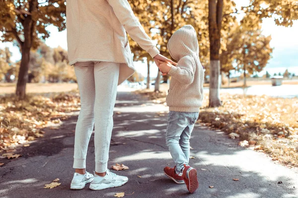 Close-up, ibu wanita berjalan di taman di musim gugur dengan anak kecil berusia 3-5 tahun, dengan sweater krem dengan tudung, dalam cuaca dingin. Lihat dari belakang, pohon latar dedaunan coklat dan oranye di jalan . — Stok Foto