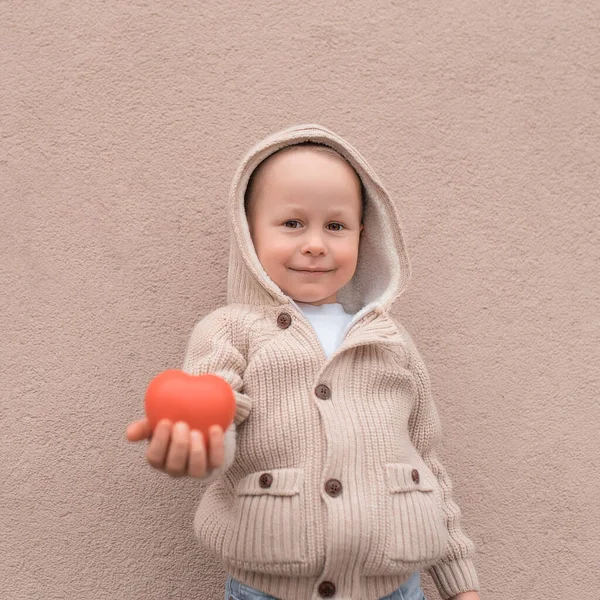 3-5岁的小男孩，手握红心玩具，受孕帮助，支持，捐赠。 母爱日，献血，给予新的生命。 带帽子的米色毛衣. — 图库照片