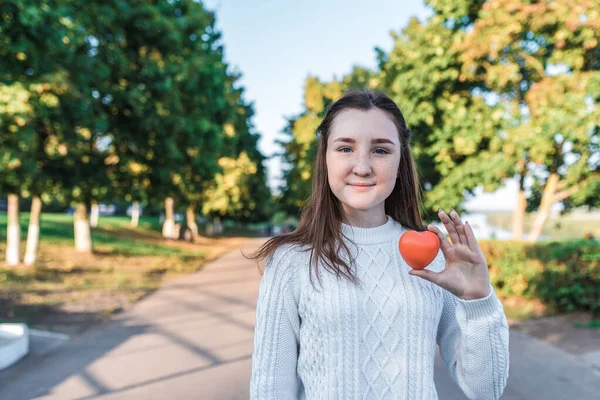 Gadis remaja gadis sekolah, remaja sweter putih musim gugur di kota latar belakang pohon jalan, hangat sweater, di tangan mainan hati, hadiah dan bantuan, sumbangan dan cinta, ruang kosong untuk teks . — Stok Foto