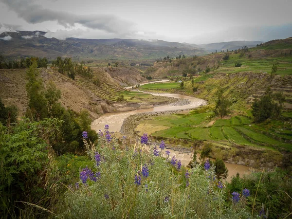 Rivière Apurimac Dans Canion Colca Des Canyons Les Profonds Monde — Photo