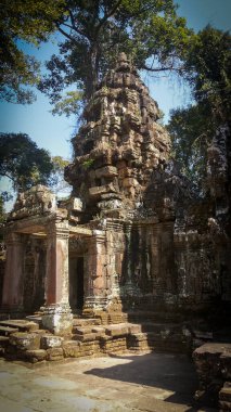 Angkor Wat 'taki Ta Prohm tapınağının kalıntıları. Siem Reap yakınlarındaki Antik Khmer mimarisi, Kamboçya