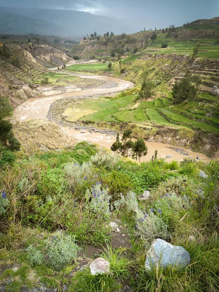 Apurimac Rivier Colca Canion Een Van Diepste Ravijnen Wereld — Stockfoto