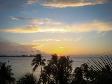 Cacun Mexico 'da inanılmaz bir gün batımı. Palmiye ağaçları ve kopyalama alanı