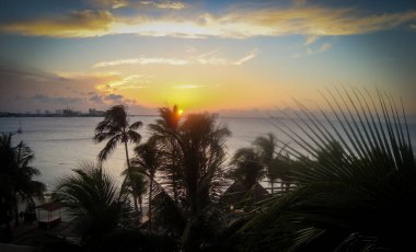 Cacun Mexico 'da inanılmaz bir gün batımı. Palmiye ağaçları ve kopyalama alanı