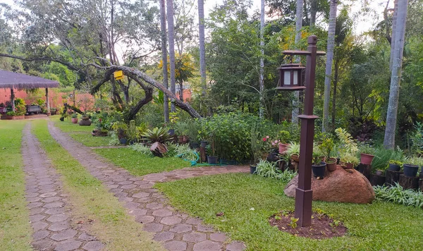 Lâmpada Velha Tradicional Contra Scnene Idílico Natureza Madeira Poste Árvores — Fotografia de Stock