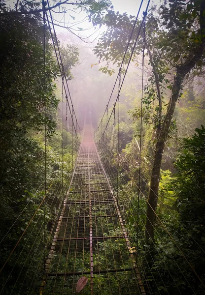 ジャングルの真ん中で驚くほど中断鉄の橋 孤独な道だ ミスティシーン — ストック写真