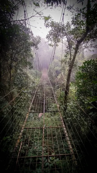 Incroyable Pont Fer Suspendu Milieu Jungle Voie Solitaire Scène Sinistre — Photo