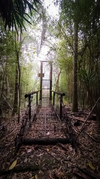 Удивительная Подвешенная Железная Бригада Посреди Джунглей Деревянный Вход Одинокий Путь — стоковое фото