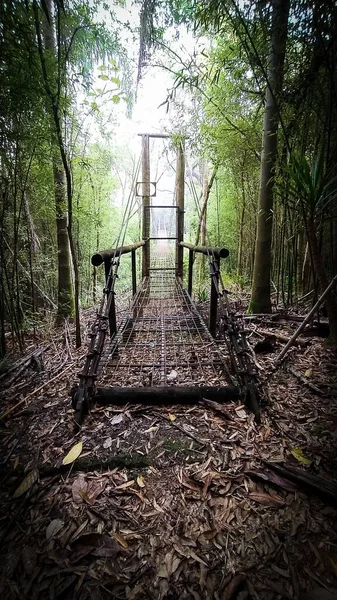 Incroyable Pont Fer Suspendu Milieu Jungle Entrée Bois Voie Solitaire — Photo