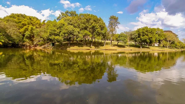 Árvores Incríveis Refletidas Lago Dia Muito Ensolarado Céu Azul — Fotografia de Stock