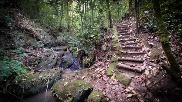 Voie Étonnante Dans Les Bois Petit Ruisseau Eau Escaliers Incurvés — Photo