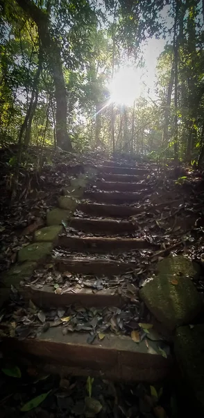 Niesamowita Ścieżka Lesie Poza Małym Strumieniem Wody Schody Stronę Słońca — Zdjęcie stockowe