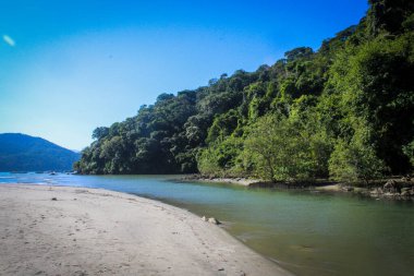 Paraia do Pereque, Guaruja, Brezilya sahillerine giden inanılmaz nehir. Tropikal orman, temiz nehir.