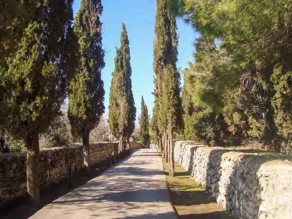 Piękna Symetryczna Ścieżka Cyprysu Starożytnego Kamiennego Muru Kościele Przemienienia Pańskiego — Zdjęcie stockowe