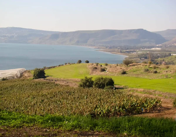 Berömd Kyrka Saligheternas Berg Vid Galileiska Sjön Israel Utsikt Över Stockfoto