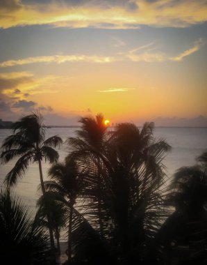 Cacun Mexico 'da inanılmaz bir gün batımı. Palmiye ağaçları ve kopyalama alanı