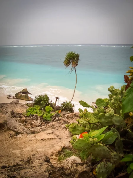 Ruyn Mayi Tulum Meksyku Morze Karaibskie Niesamowita Plaża Wietrzny Dzień Obraz Stockowy