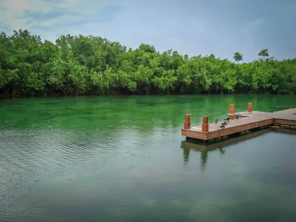 Quintana Roo, Meksika 'daki güzel nehir, iskele ve manzara.