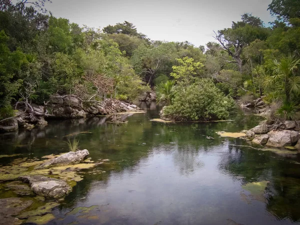 Quintana Roo, Meksika 'daki Yucatan nehrinin güzel manzarası