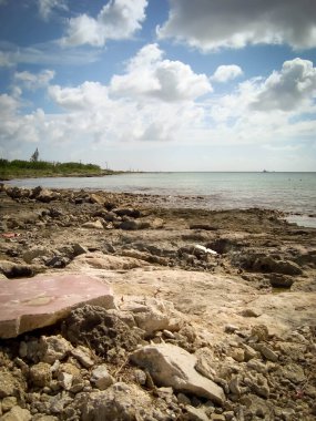 Cozumel, Meksika 'daki inanılmaz kayalık plaj.