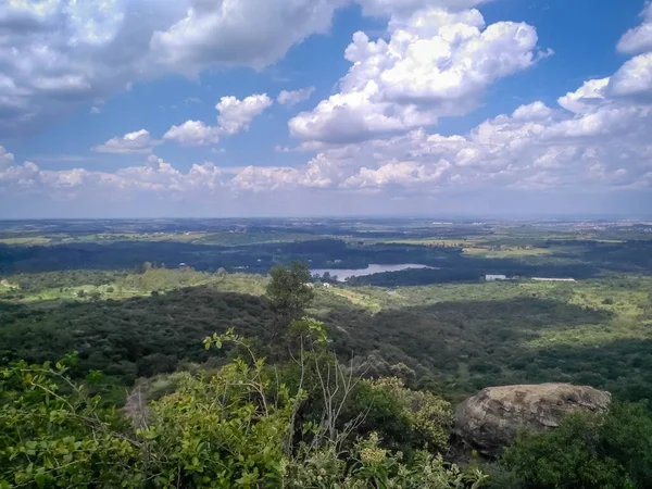 Όμορφη Θέα Της Βραζιλίας Σαβάνα Και Τροπική Ζούγκλα Καλοκαίρι Στην — Φωτογραφία Αρχείου