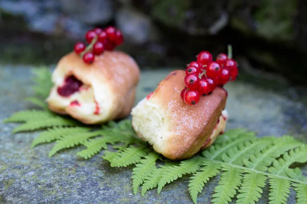 Hausgemachte Leckere Hefegebäck Mit Roten Johannisbeeren Auf Einem Farnblatt — Stockfoto