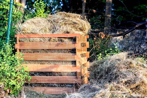 Hierba Cortada Compostador Casero Madera Ecología — Foto de Stock