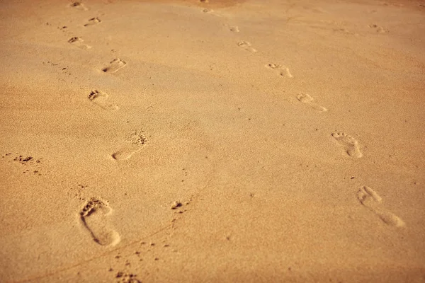 İki tür kum plajındaki ayak izleri