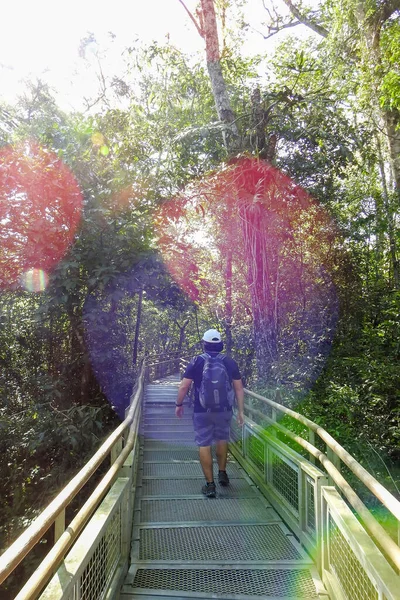 アルゼンチンのミシオネスのイグアス国立公園で夏の晴れた日に歩いている若い男 ミシオネスでトレッキングをする男イグアスは袋で滝 熱帯雨林の少年 スポーツ 休日の概念 — ストック写真