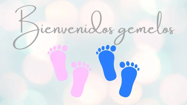 Illustration, banner, design or card with the Welcome Twins written in spanish. Pink color and blue. Suitable for baby showers cards or invitation. Cute design with copy space. Drawing feet.