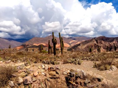 Tilcara, Jujuy, Arjantin. 20 Ocak 2020. Pucara de Tilcara 'da. Kaktüs ve arkeolojik alanın fotoğrafı. Bulutlu gökyüzü. 