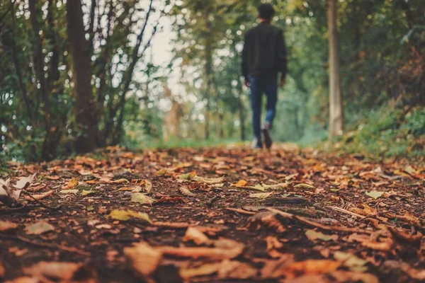 紅葉の風景 秋の風景の中を後ろ向きに歩く個人 9月と歓迎の秋に関連 — ストック写真
