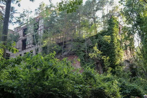 Ruines Beelitz Heilsttten Lieu Perdu Berlin Brandebourg — Photo