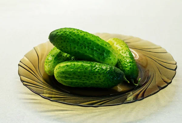 Young Ripe Green Cucumber Glass Plate Slicing Cucumbers Delicious Healthy — Stock Photo, Image