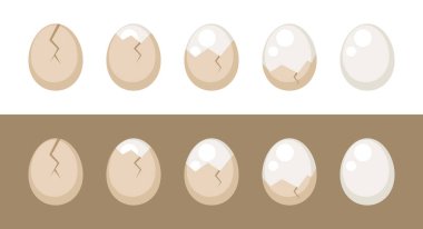 Haşlanmış yumurta basamakları vektör illüstrasyon bilgi kümesi nasıl soyulır