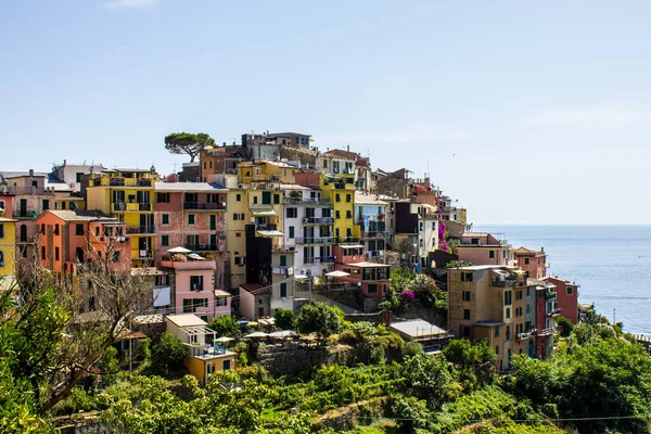 Corniglia Italy July 2017 View Corniglia Town Sunny Day — стокове фото