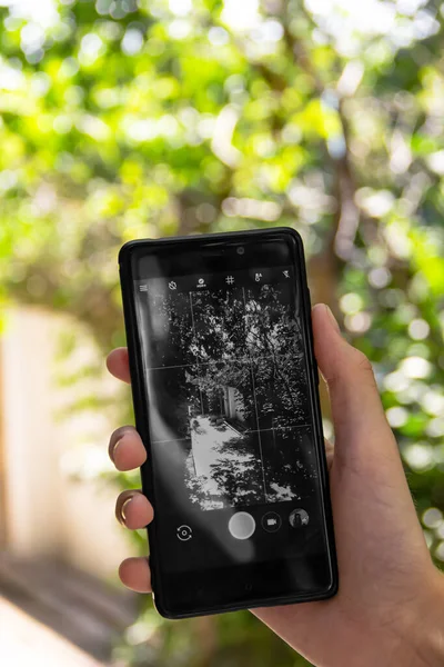 the girl uses the camera in the phone, holding it in one hand, the world on the screen is black and white, and the background is colored, contains blurred trees on a bright Sunny day. close-up photo
