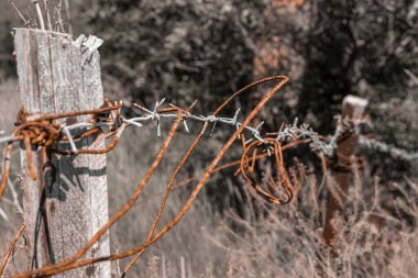 Ahşap direklere bağlanmış paslı dikenli teller bir orman ve kamp alanının yanında terk edilmiş bir çit. Özel bir estetik vermek için renk şeması değiştirildi