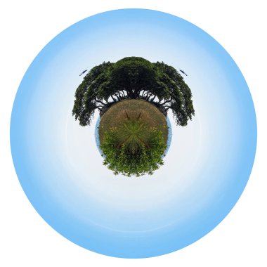 Kutup koordinatları filtresi kullanan fotoğraf. Yalıtılmış kenarları olan yuvarlak bir görüntü. Yüksek ağaçlar, sahil ve kamp alanlarının yanı sıra uçan helikopterlerle dolu bir açıklık manzarası. Gezegen kamp alanı