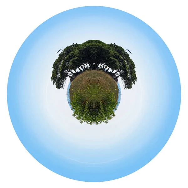 Photo using the Polar coordinates filter. Round image with isolated edges. View of a clearing with tall trees, the beach and camping, as well as flying helicopters. Planet campsite