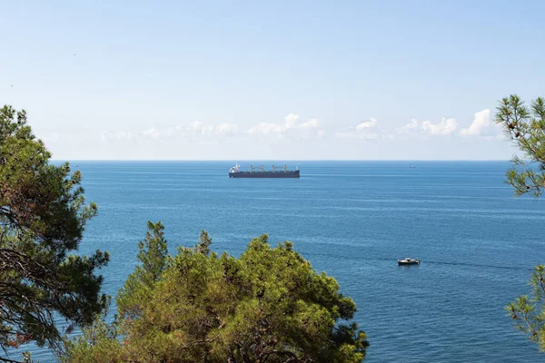 Close-up of the seascape. Blue sea, clouds over the horizon and cargo ships. In the foreground are the tops of green trees. Surroundings of the resort of Gelendzhik. Russia, Black sea coast